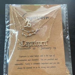 Capricorn 3tiered necklace